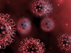 ཏོག་དབྱིབས་གཉན་རིམས། ནང་མི་དང་ཐག་རིང་ཙམ་སྡོད།