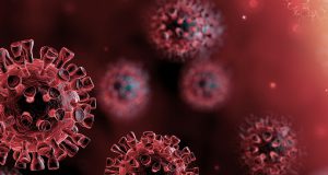 ཏོག་དབྱིབས་གཉན་རིམས། ནང་མི་དང་ཐག་རིང་ཙམ་སྡོད།