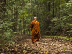 ཆོས་པ་རྣམ་དག་ལ་རབ་བྱུང་ཡིན་དགོས་པ།