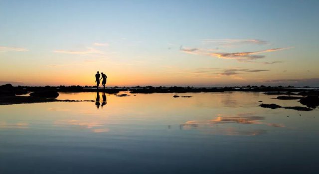 ཁྱེད་གཉིས་འཛོམས་པ་དགའ་སོང་།