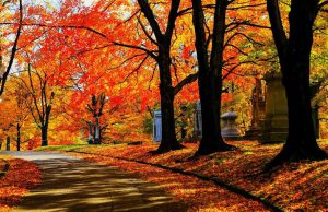 ཚེ་གཅིག་འཕྲད་པས་མ་ཚིམ་བྲོ་བ་ཞིག །