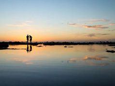 ཁྱེད་གཉིས་འཛོམས་པ་དགའ་སོང་།